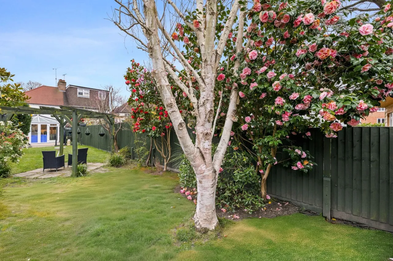 Knole Grove, East Grinstead, East Grinstead, RH19 2AL, photo 4