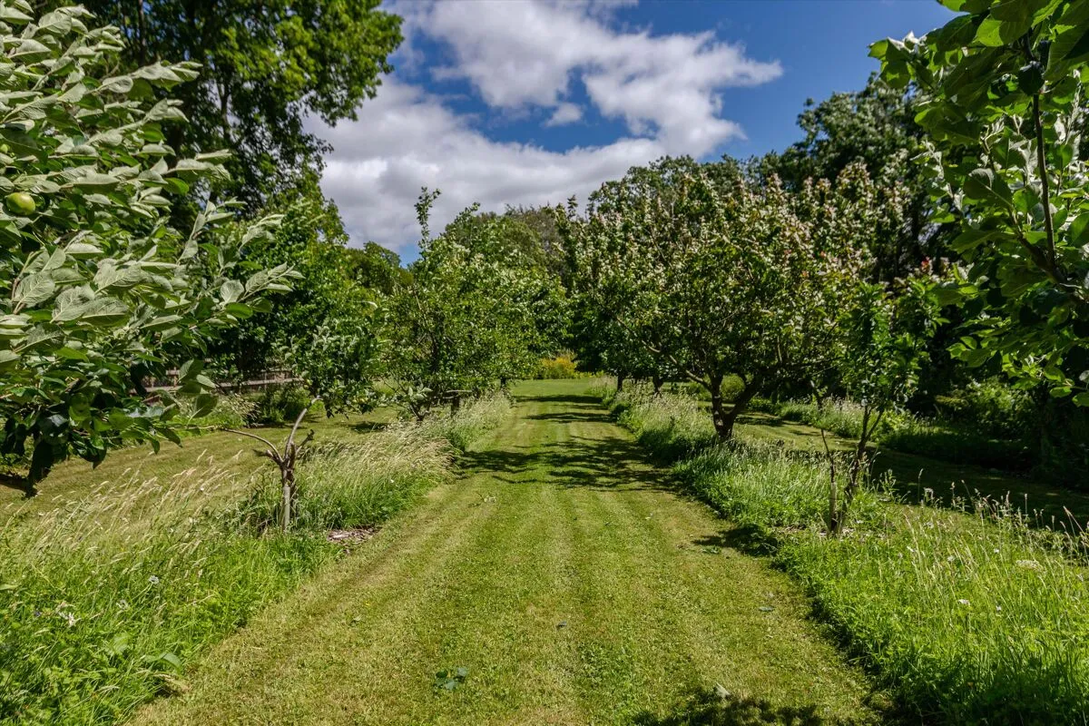 The Green, High Coniscliffe, DL2, photo 58