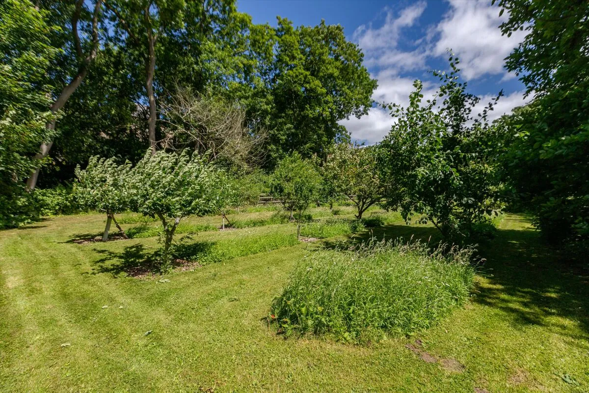 The Green, High Coniscliffe, DL2, photo 61