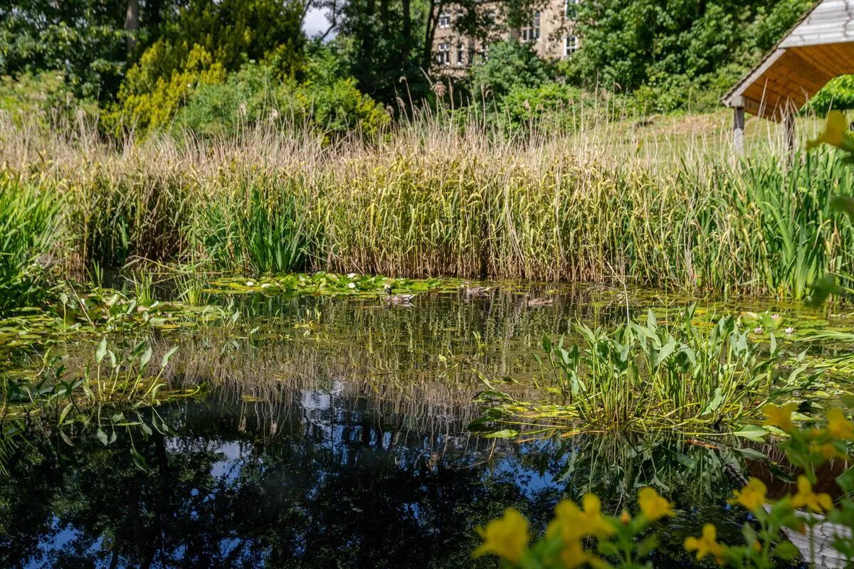 The Green, High Coniscliffe, DL2, photo 59