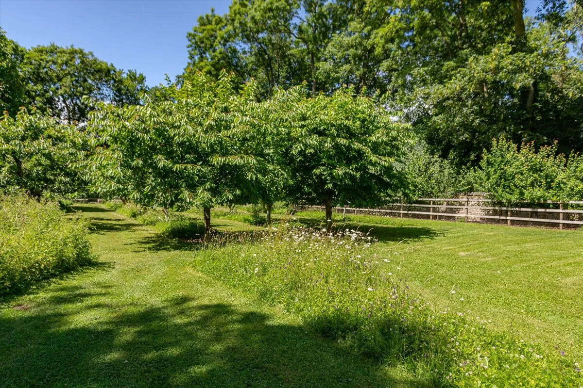 The Green, High Coniscliffe, DL2, photo 67