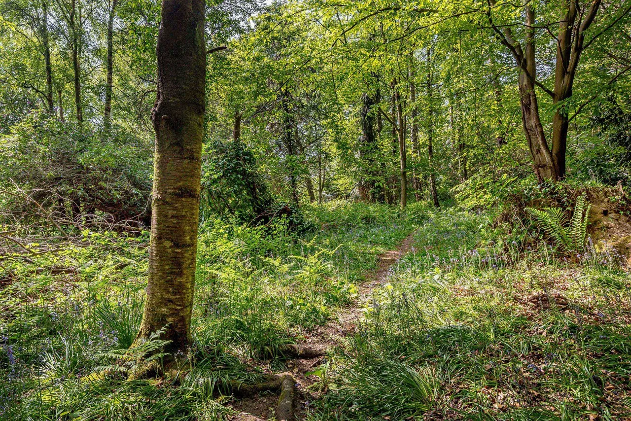 Crouch Lane, Borough Green, TN15, photo 13