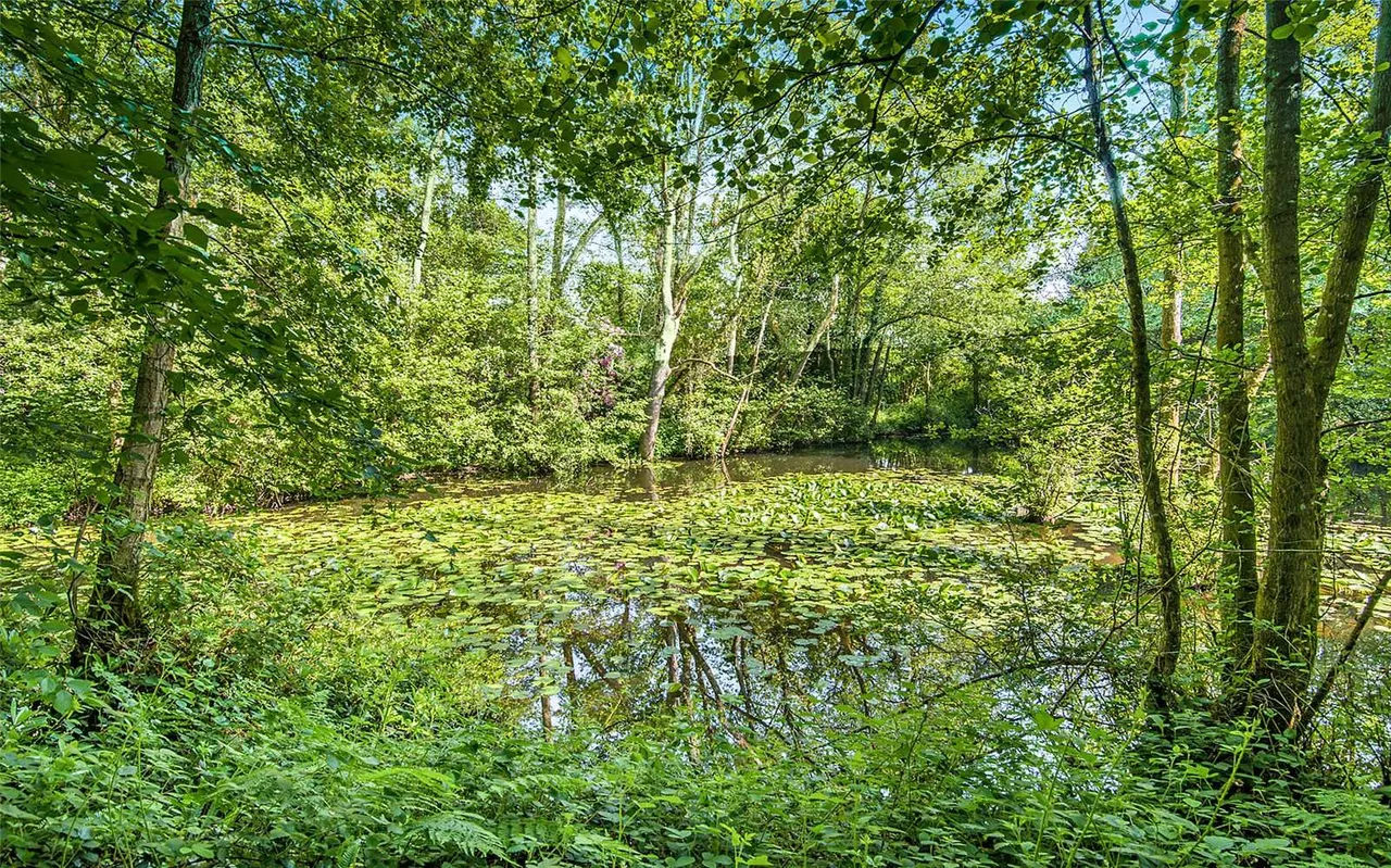 Llantrisant, Nr Usk, NP15, photo 44