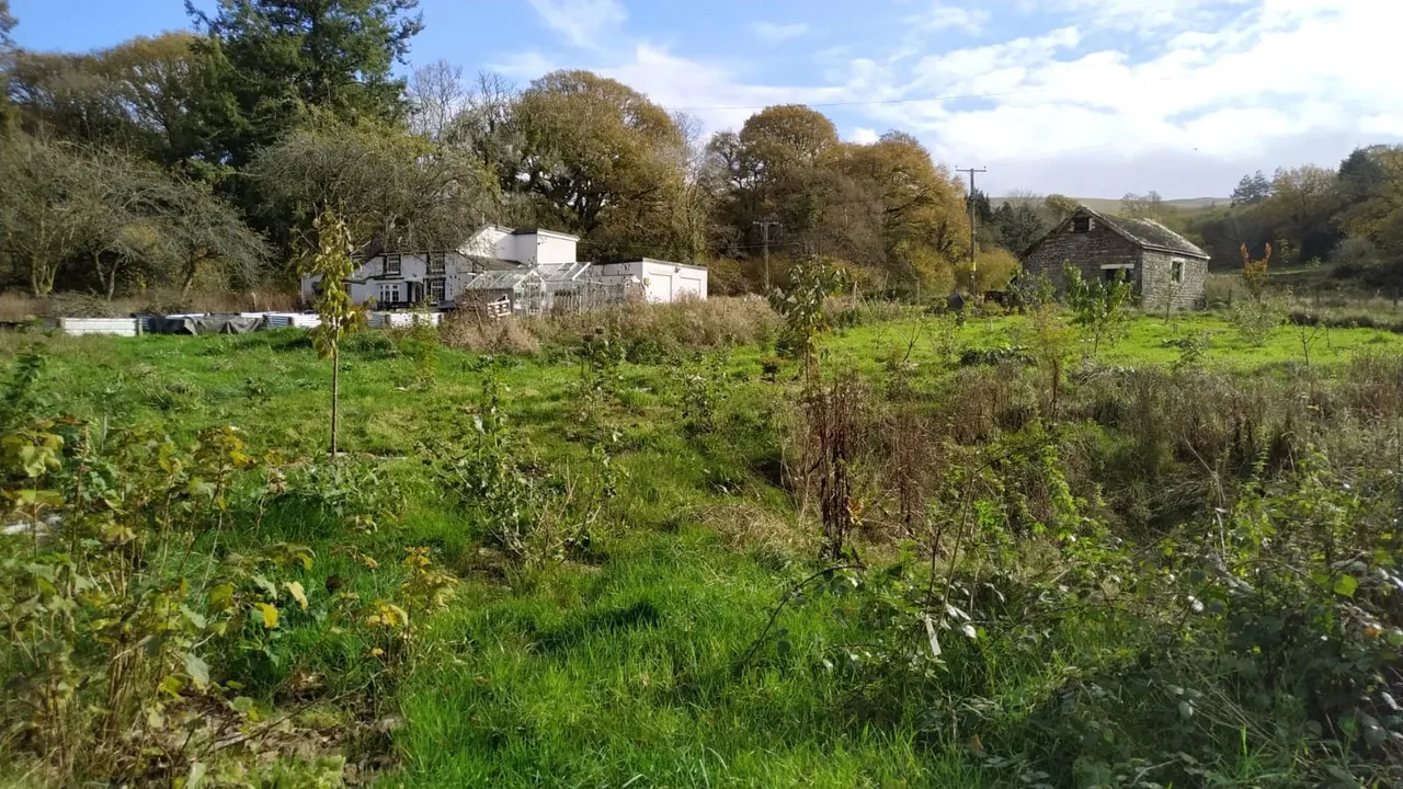 Maesquarre Road, Betws, SA18, photo 23