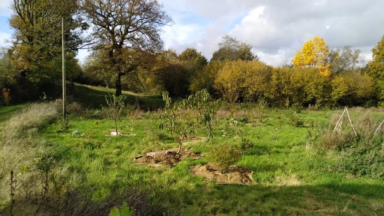 Maesquarre Road, Betws, SA18, photo 24