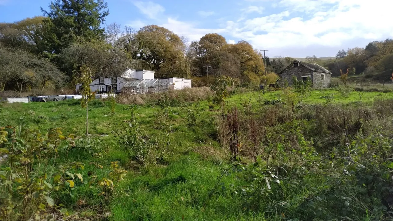 Maesquarre Road, Betws, SA18, photo 25