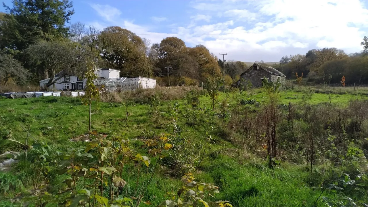 Maesquarre Road, Betws, SA18, photo 26