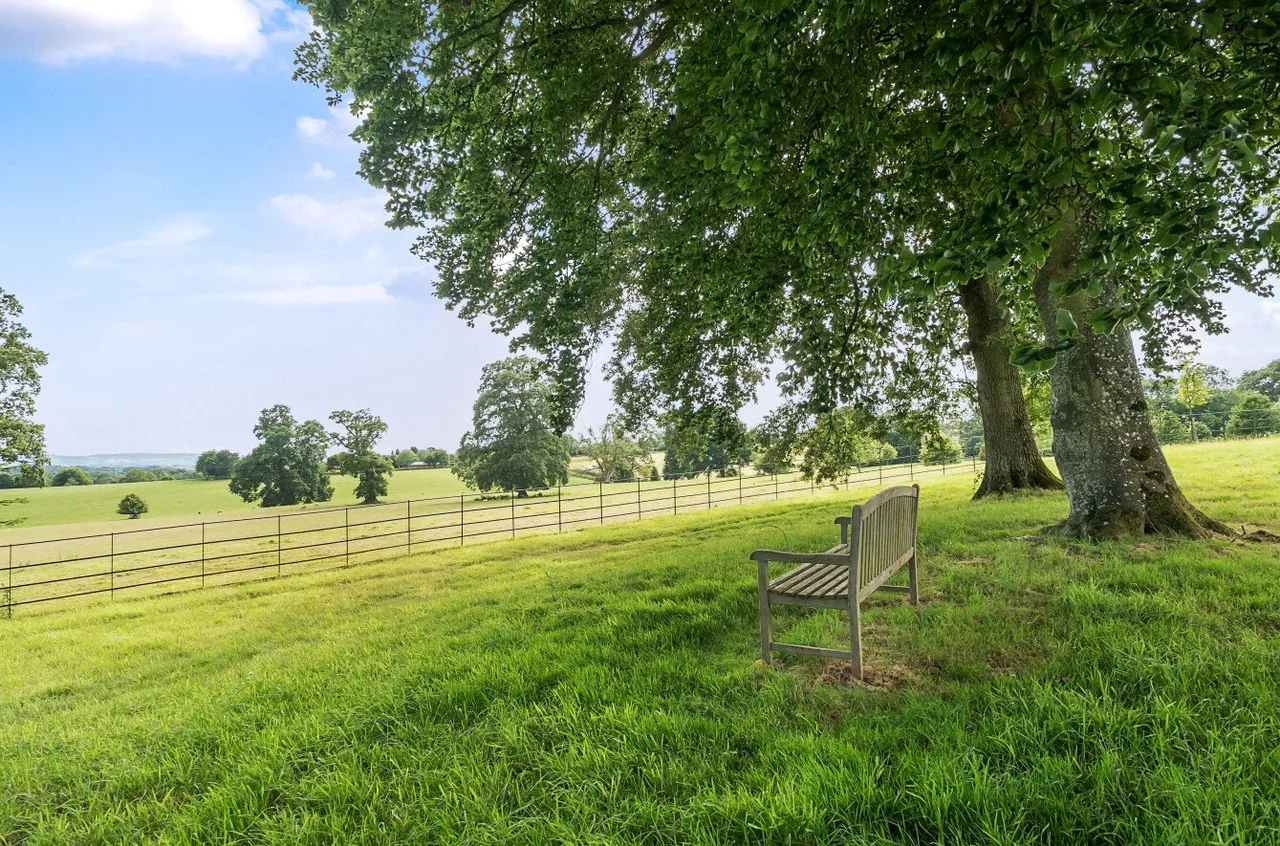 South Drive, Sandhill Park, Bishops Lydeard, Taunton, TA4 3DQ, photo 5