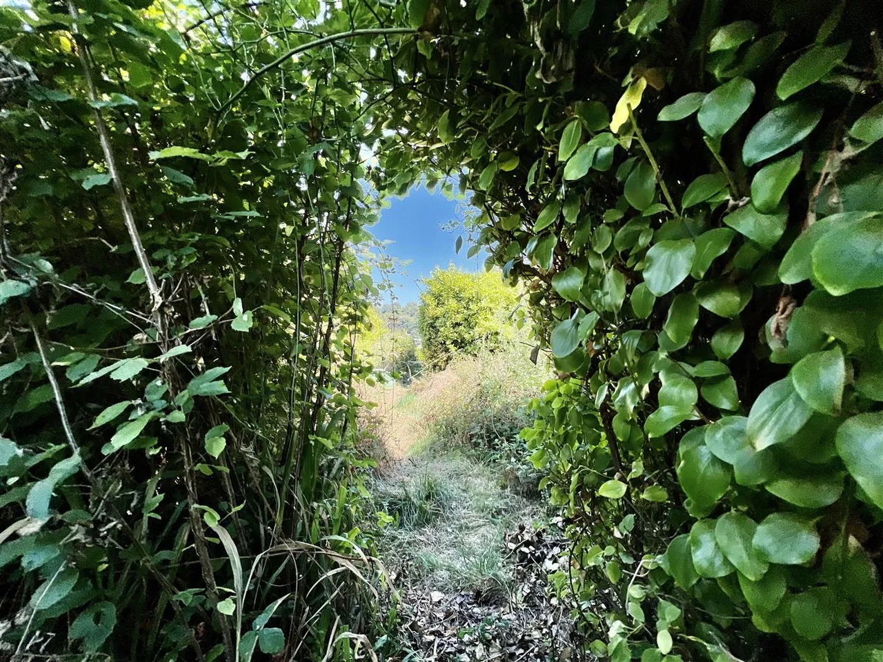 Milton Park, Brixham, photo 24