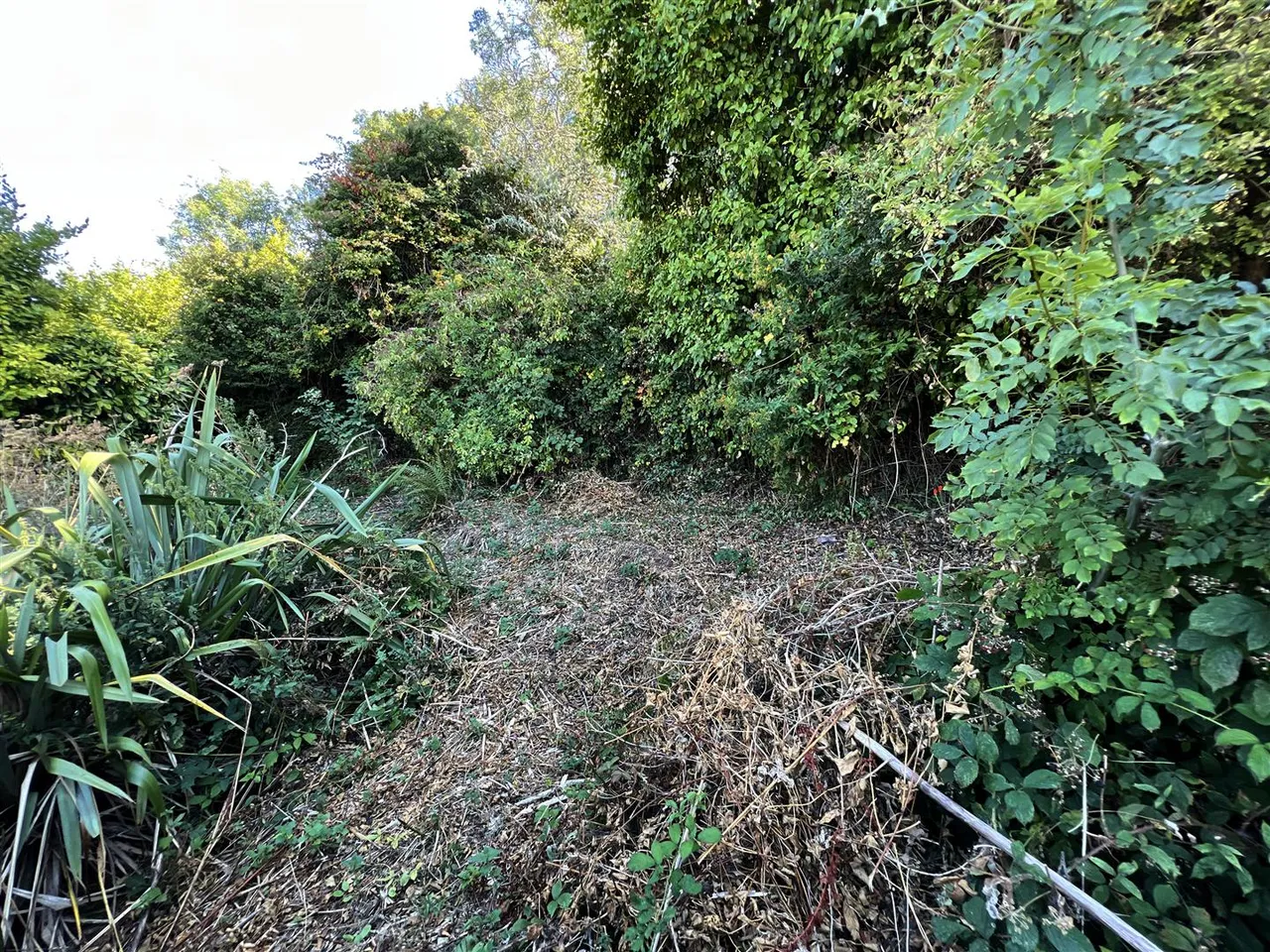 Milton Park, Brixham, photo 25