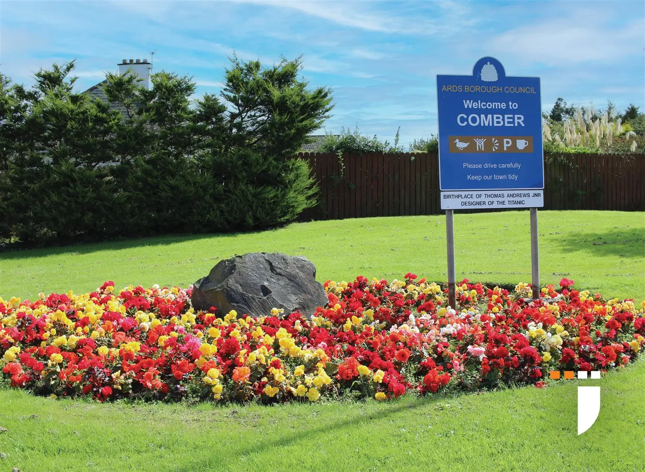 newtownards road, comber, BT23, photo 12