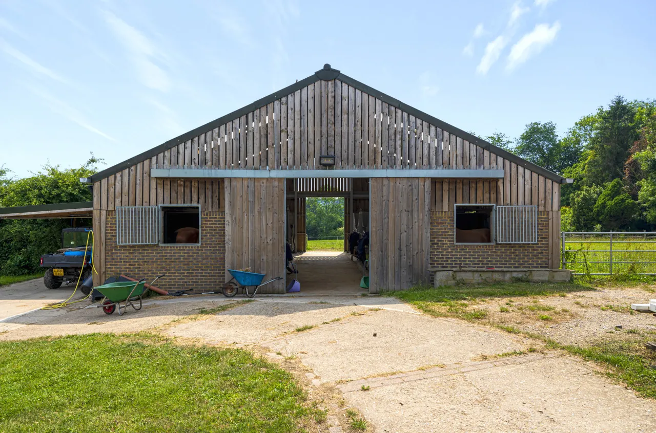 Homestall Lane, Ashurst Wood, East Grinstead, West Sussex, RH19 3PH, photo 34