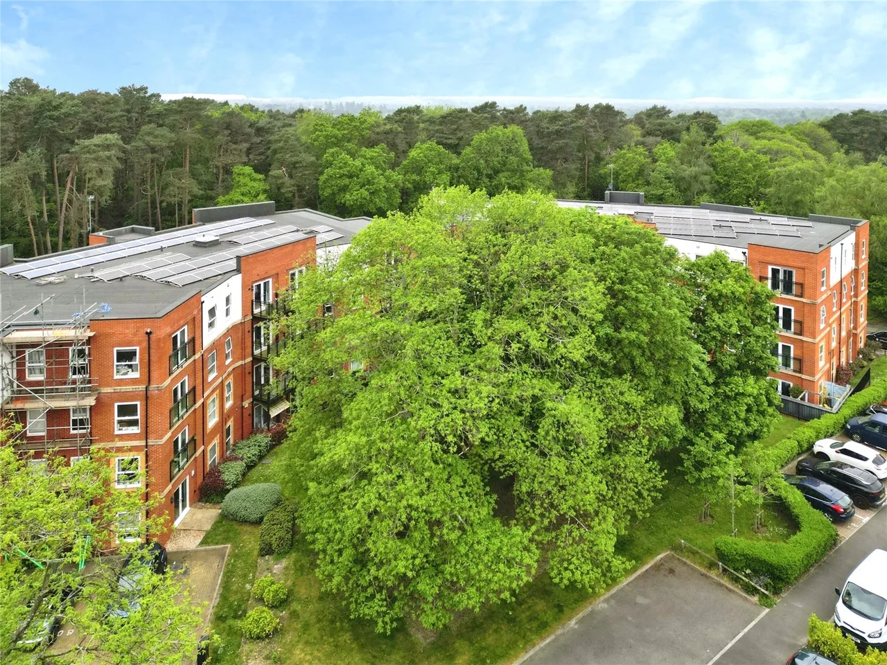 Edrich Grange, Crowthorne, Berkshire, RG45 7FJ, photo 15
