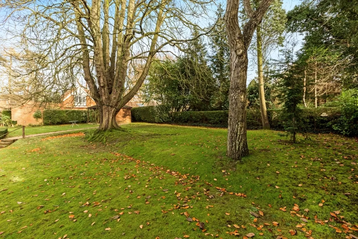 Cleeve Road, Goring, RG8, photo 11