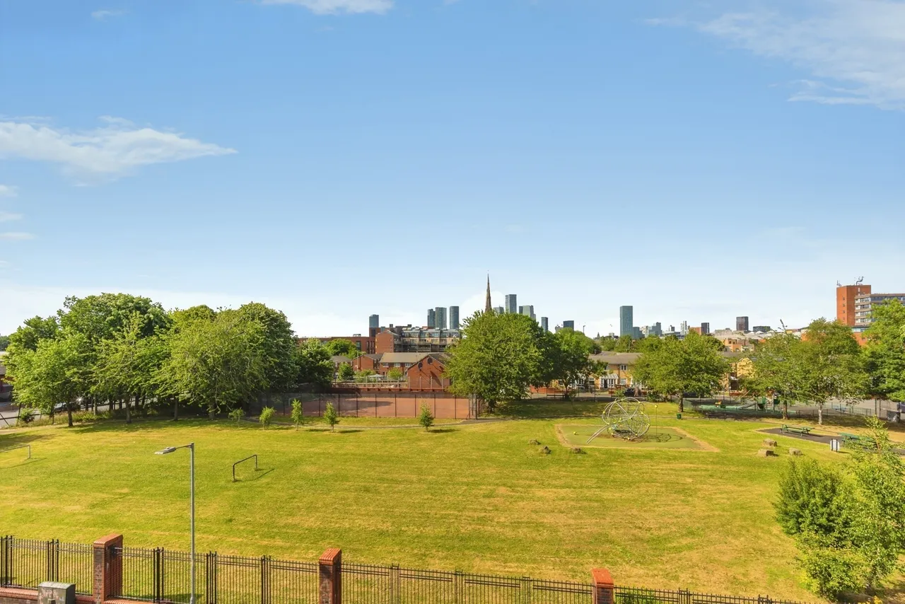 Plainsfield Street, Moss Side, Manchester, M16, photo 13