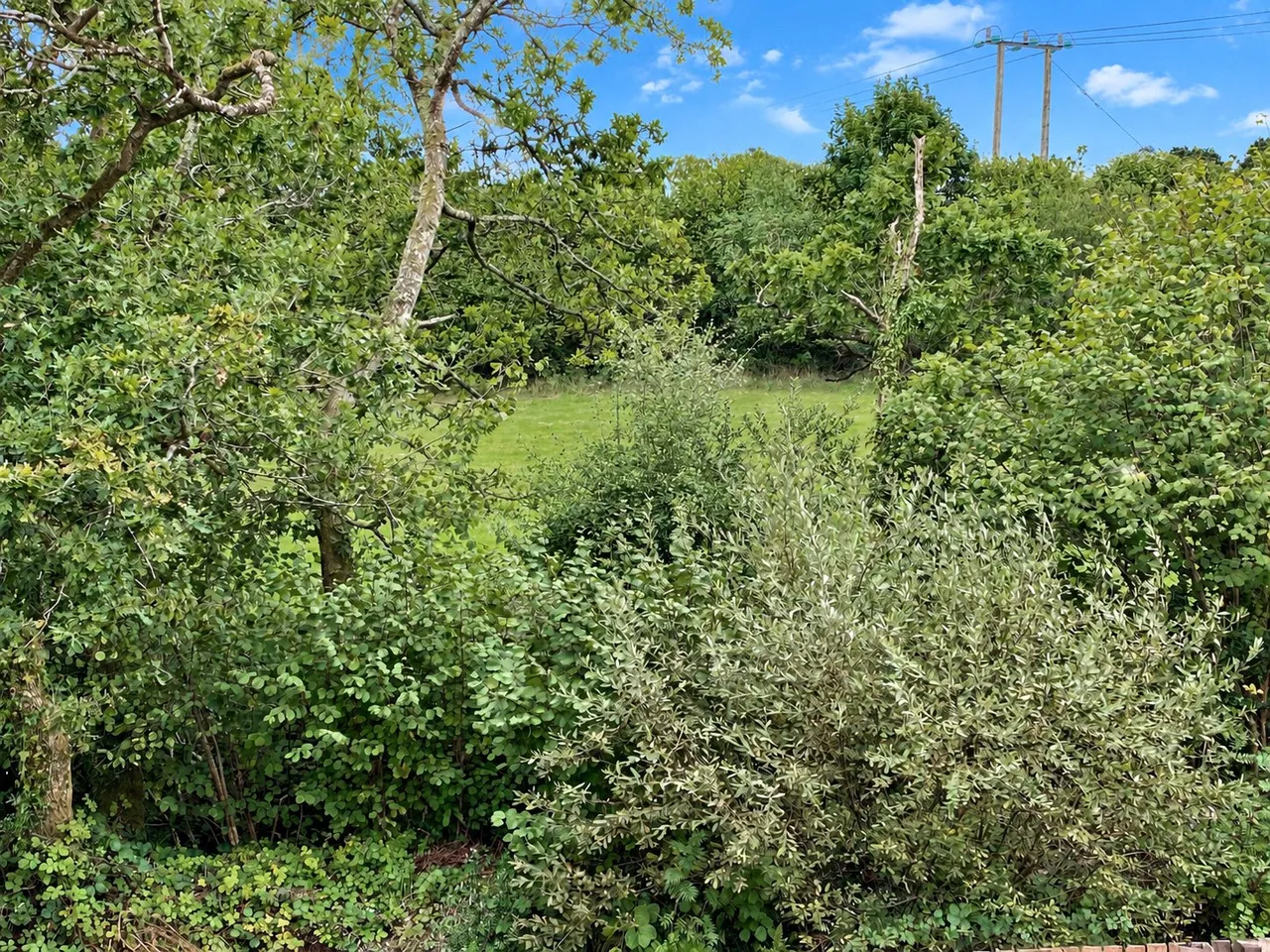 Penhole Drive, Launceston, PL15, photo 10