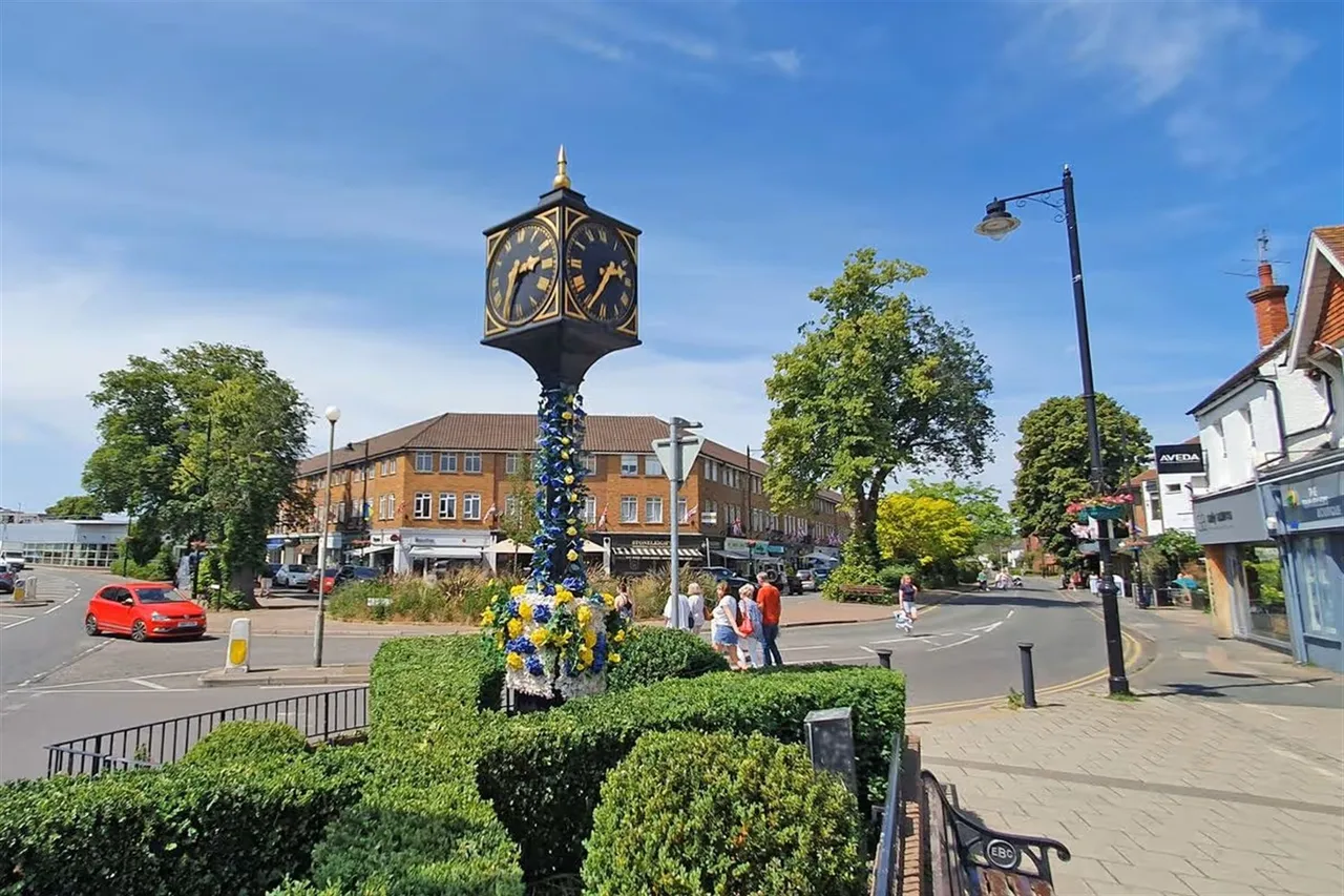 Cobham, KT11 1BD, photo 9