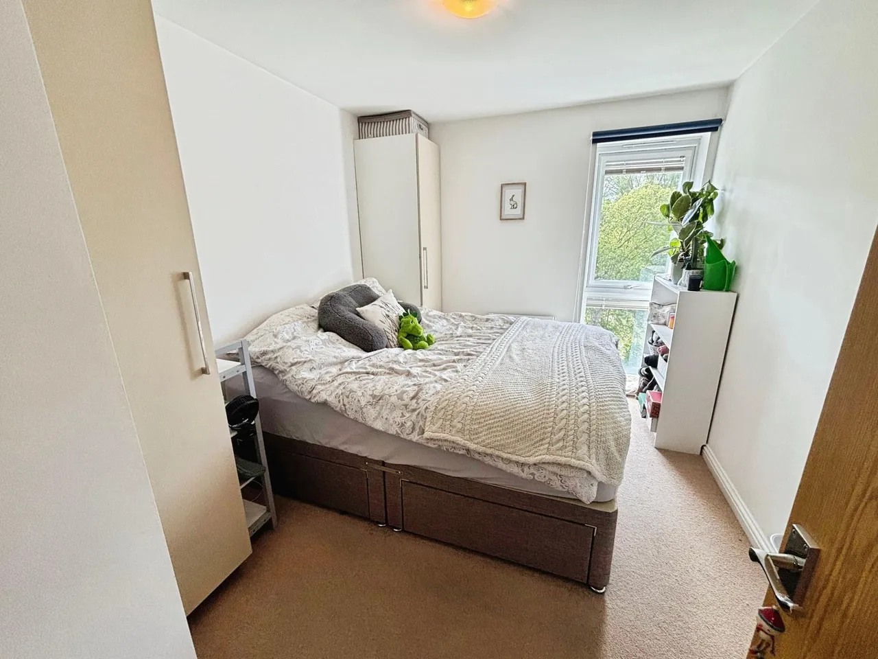 Angelica Road, Lincoln, LN1, photo 7