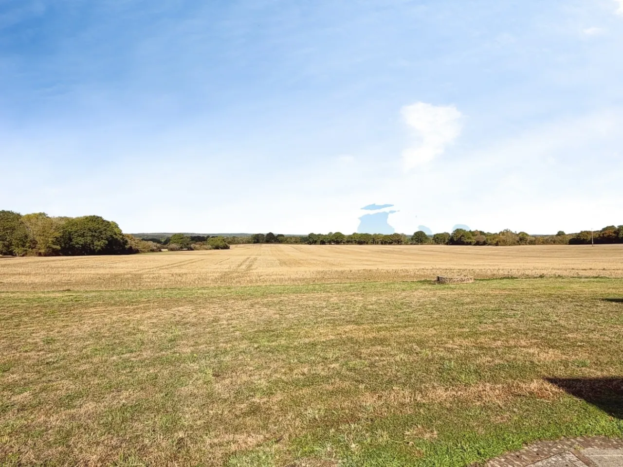 East Flexford Lane, Guildford, GU3, photo 14
