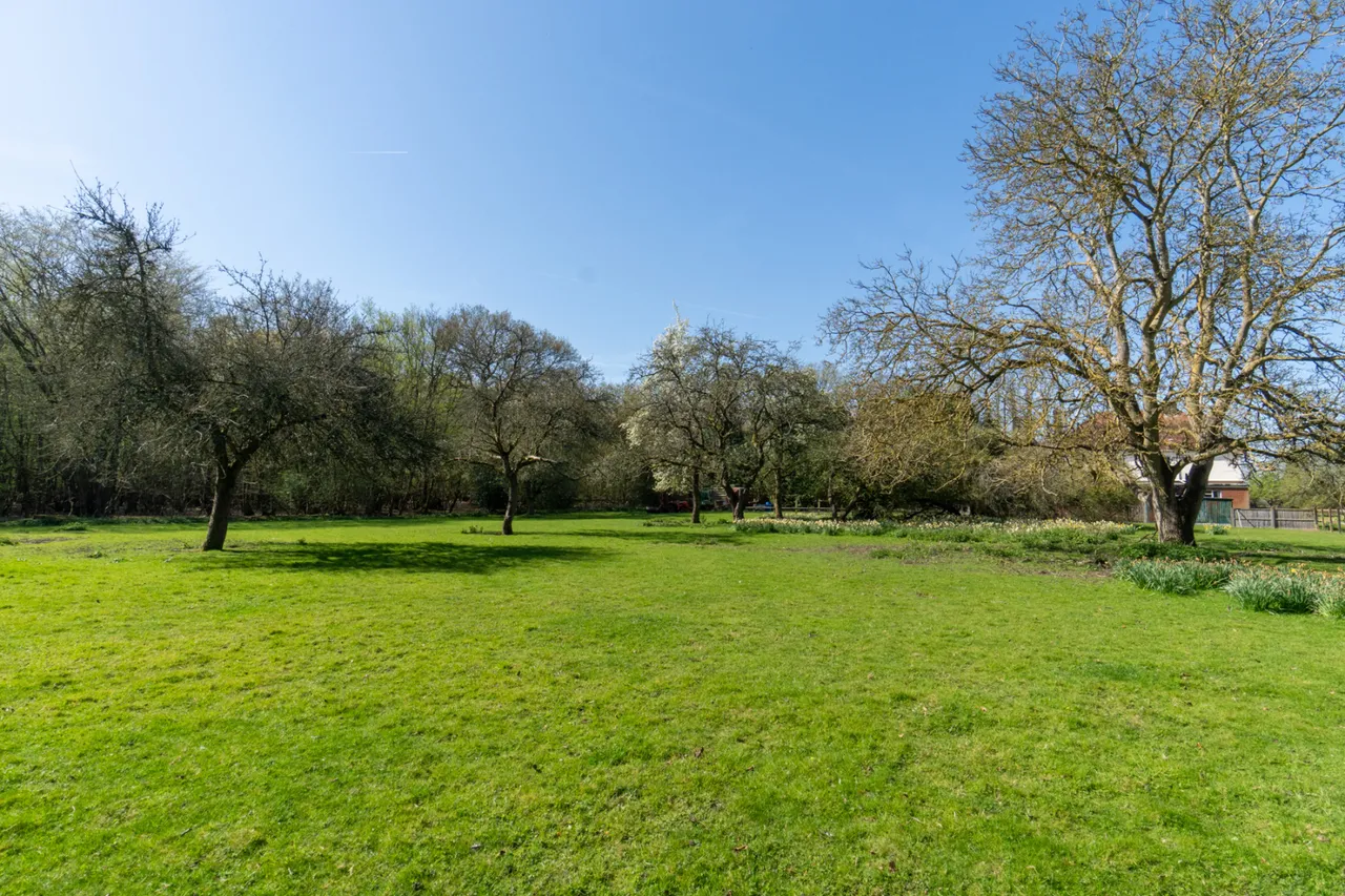 High Easter Road, Leaden Roding, CM6, photo 21