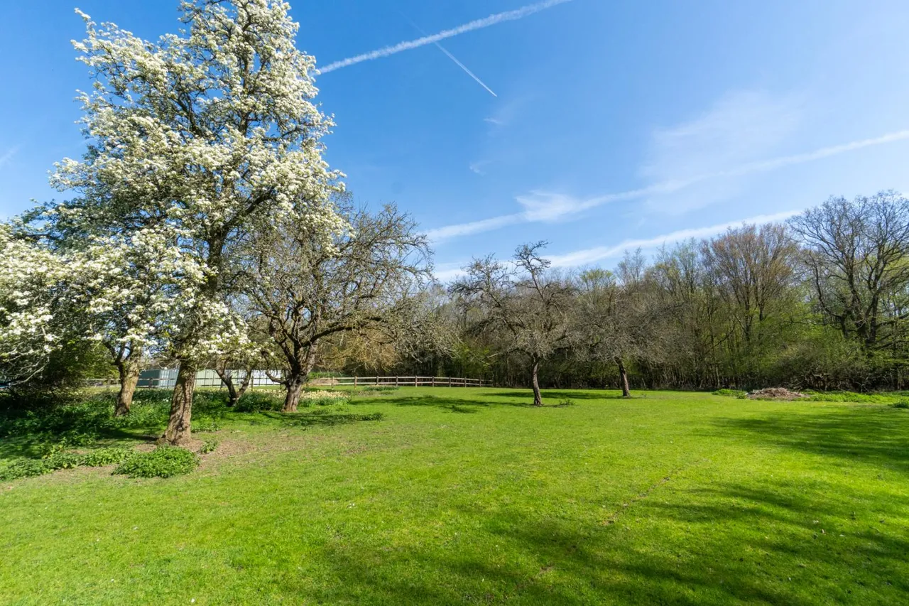 High Easter Road, Leaden Roding, CM6, photo 19