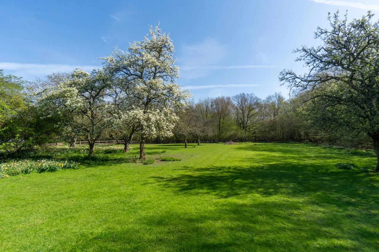 High Easter Road, Leaden Roding, CM6, photo 17