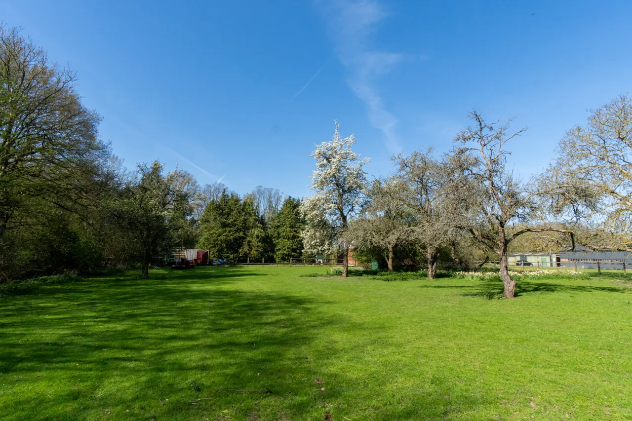 High Easter Road, Leaden Roding, CM6, photo 20