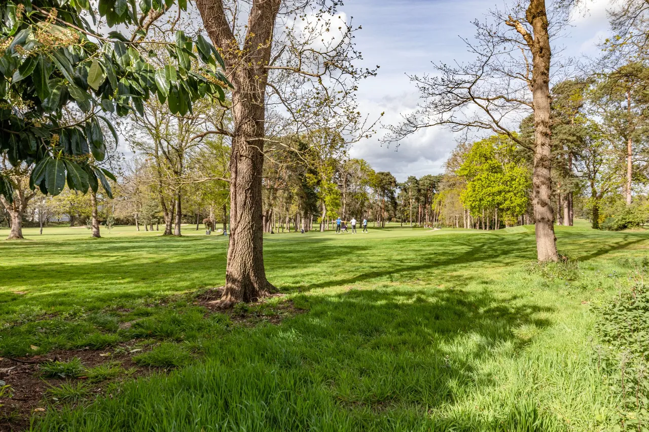 Forest Close, Pyrford, GU22, photo 25