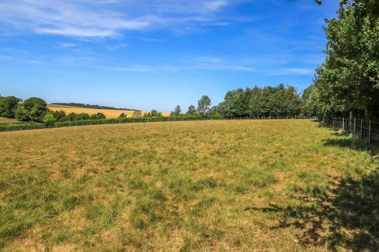 Orcheston, Salisbury, Wiltshire, SP3 4RG, photo 10