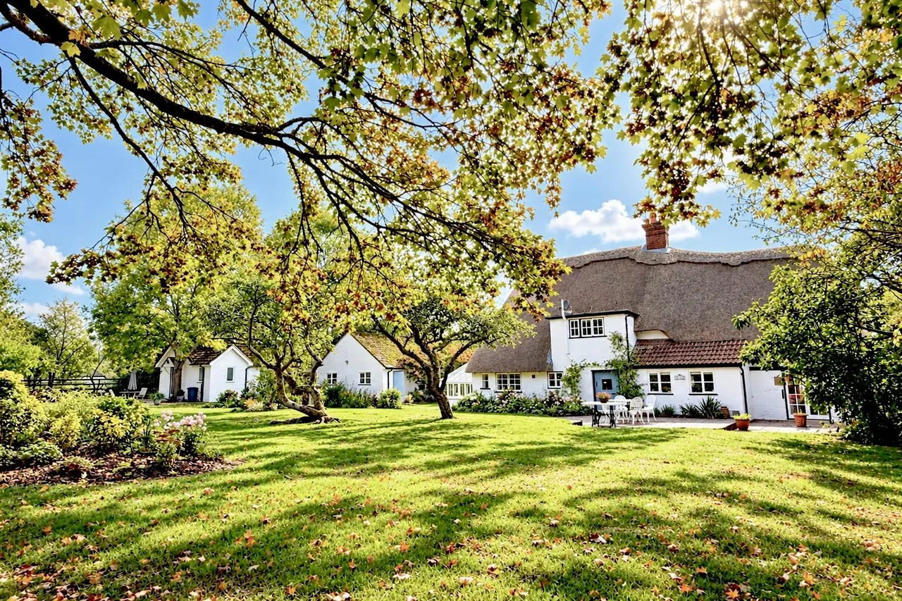 South Gorley, New Forest, SP6, photo 36
