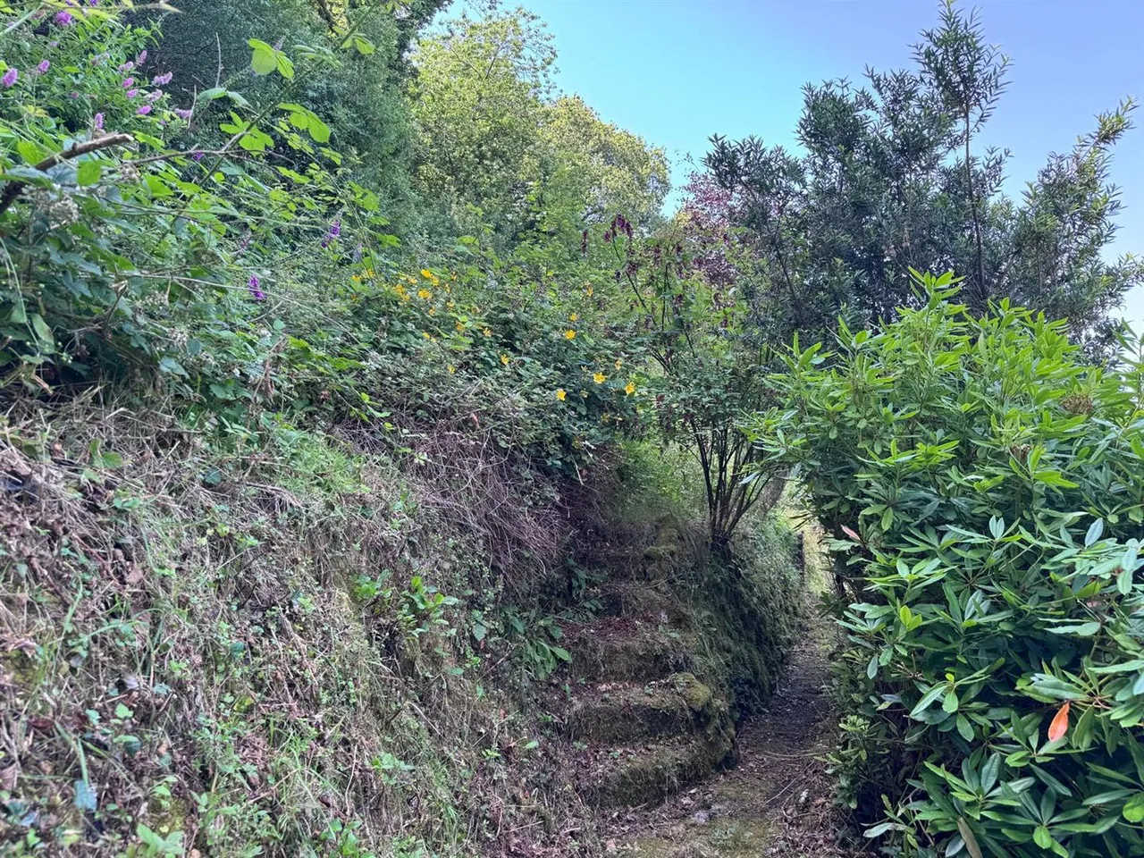 Ricketts Lane, Polgooth, photo 17