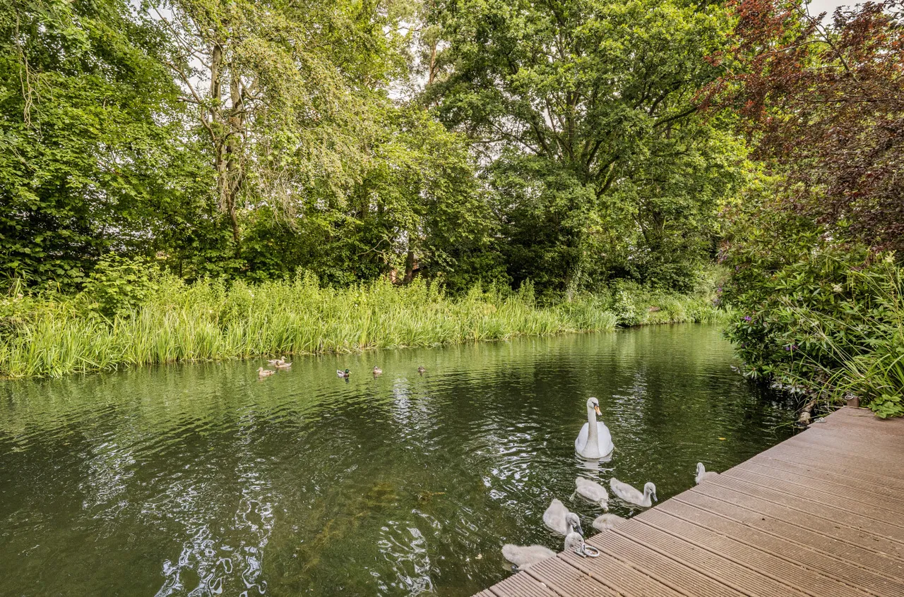 Fairland Close, Fleet, Hampshire, GU52 7LX, photo 17