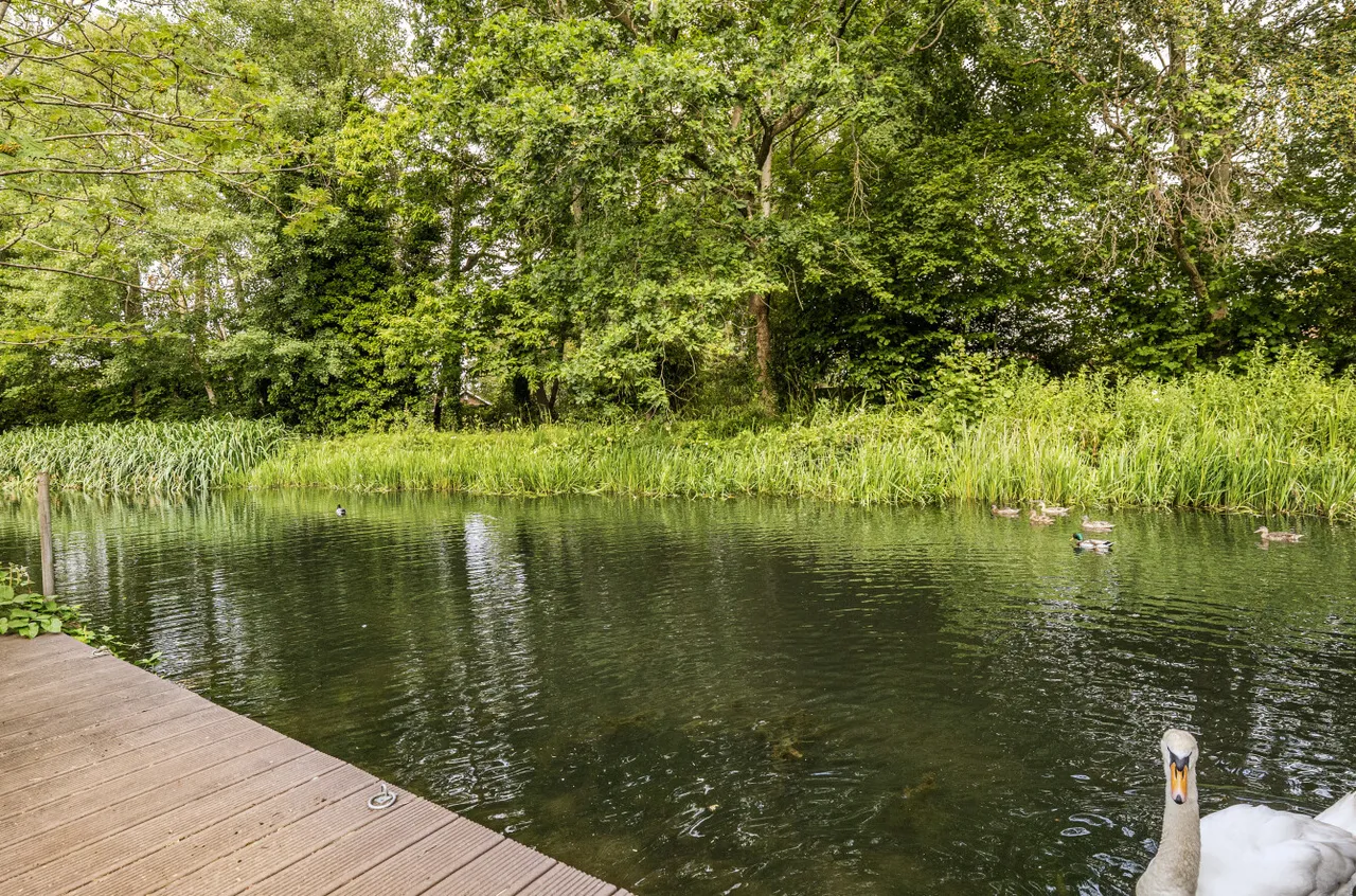 Fairland Close, Fleet, Hampshire, GU52 7LX, photo 22