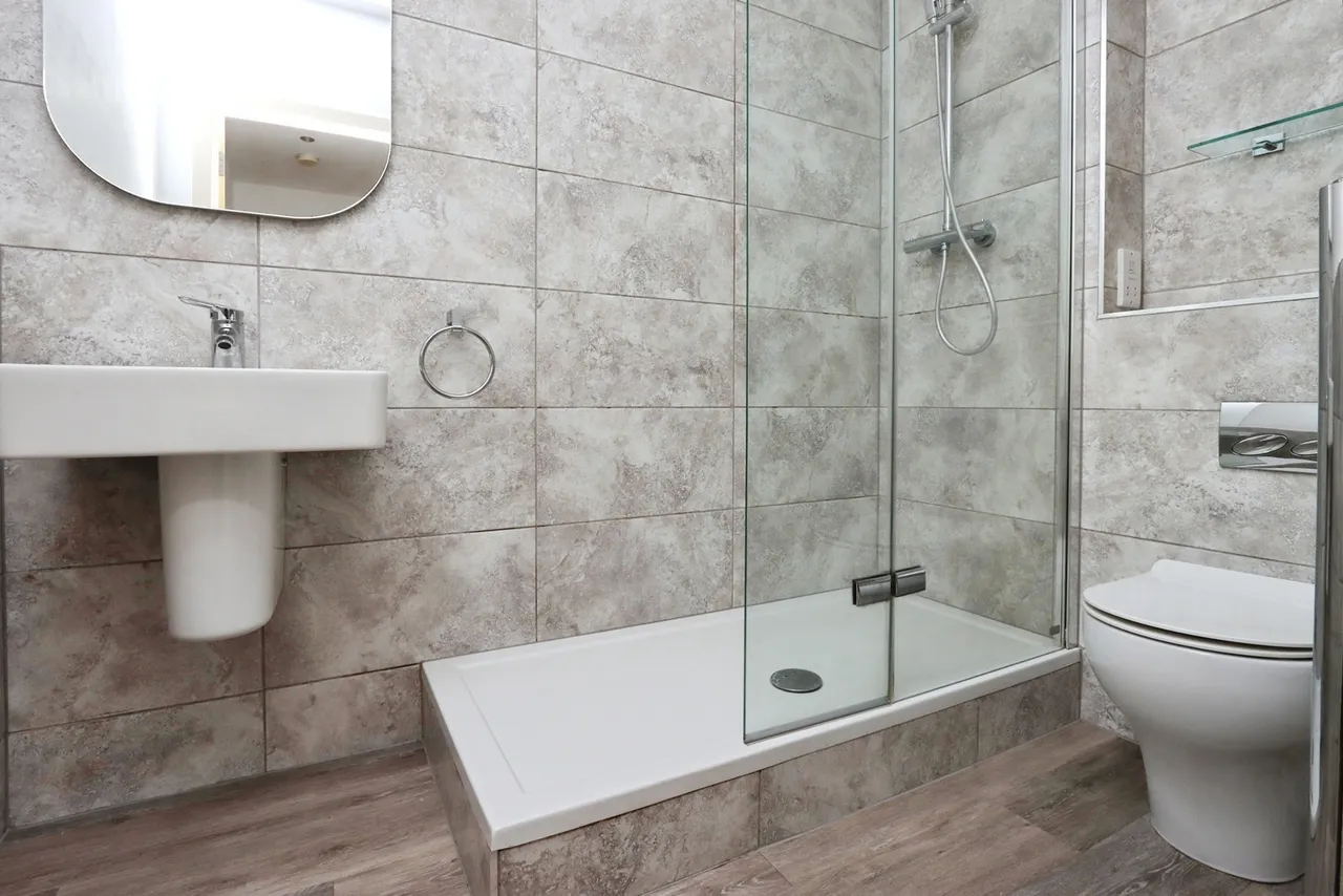 Albert Road, Sheffield, S8, photo 13