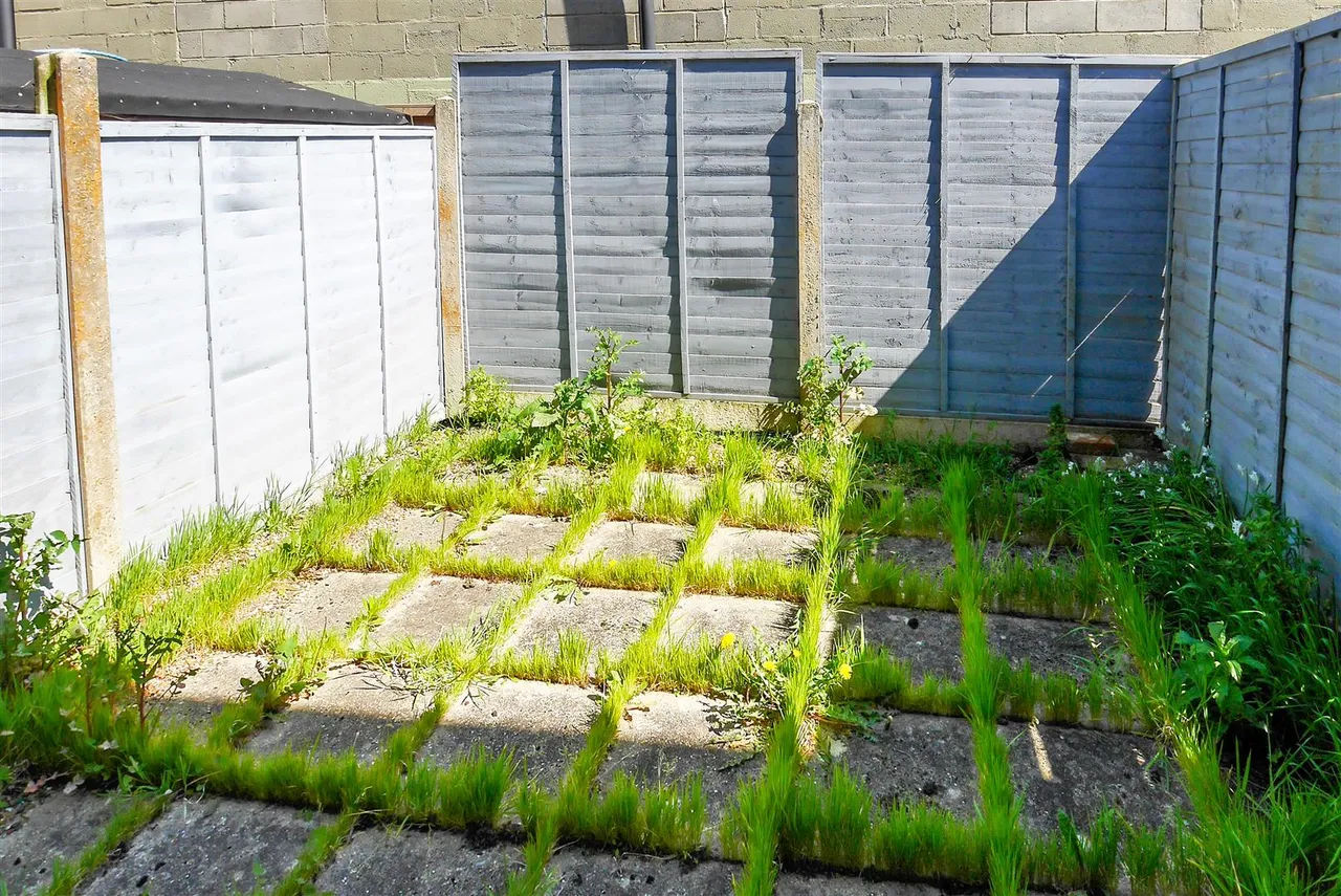 River Road, Littlehampton, photo 10