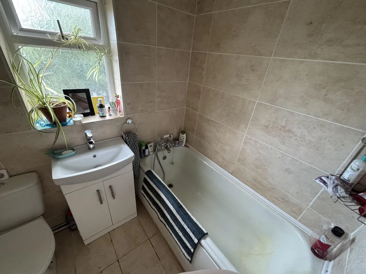 Oliver Drive, Reading, RG31, photo 9