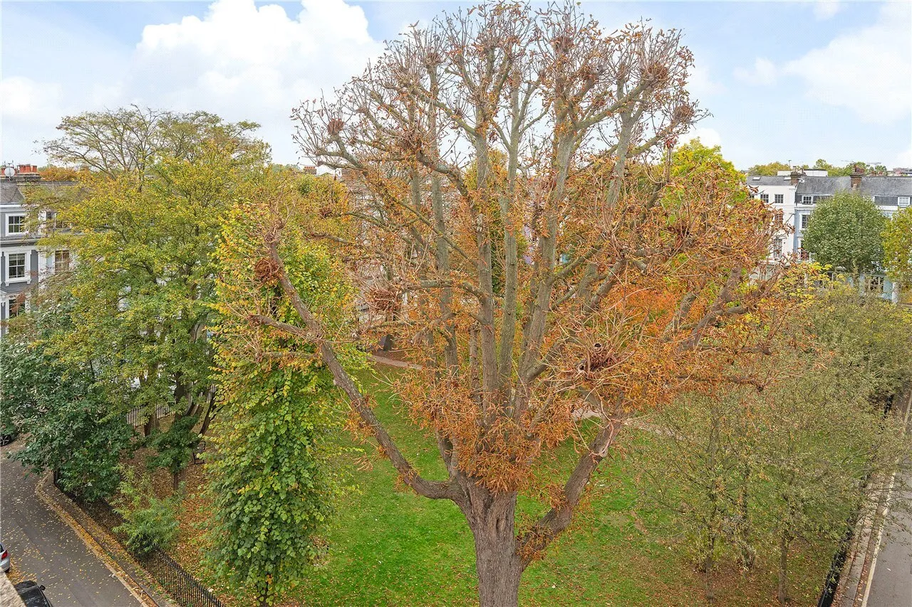 Chalcot Square, Primrose Hill, London, NW1, photo 6