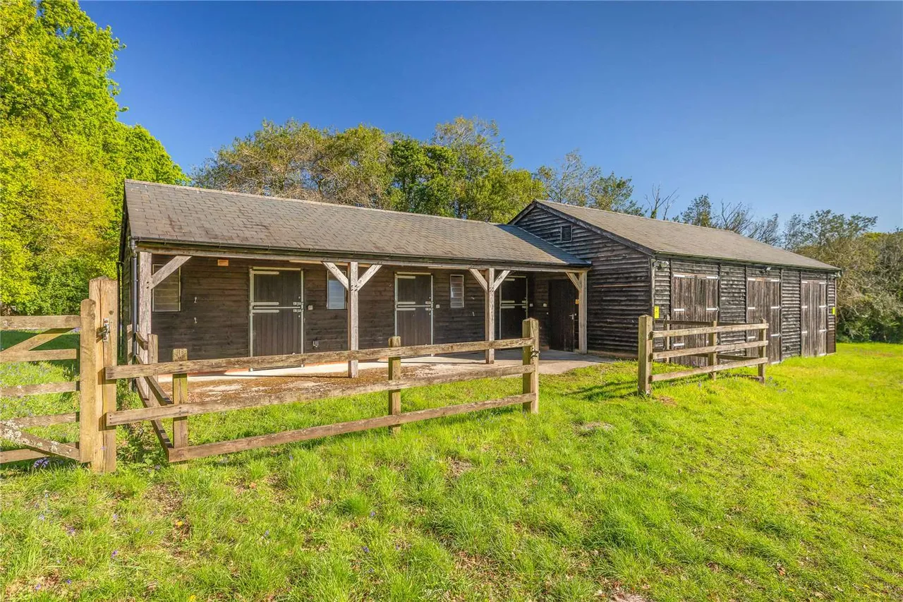 Minstead, Lyndhurst, SO43, photo 24