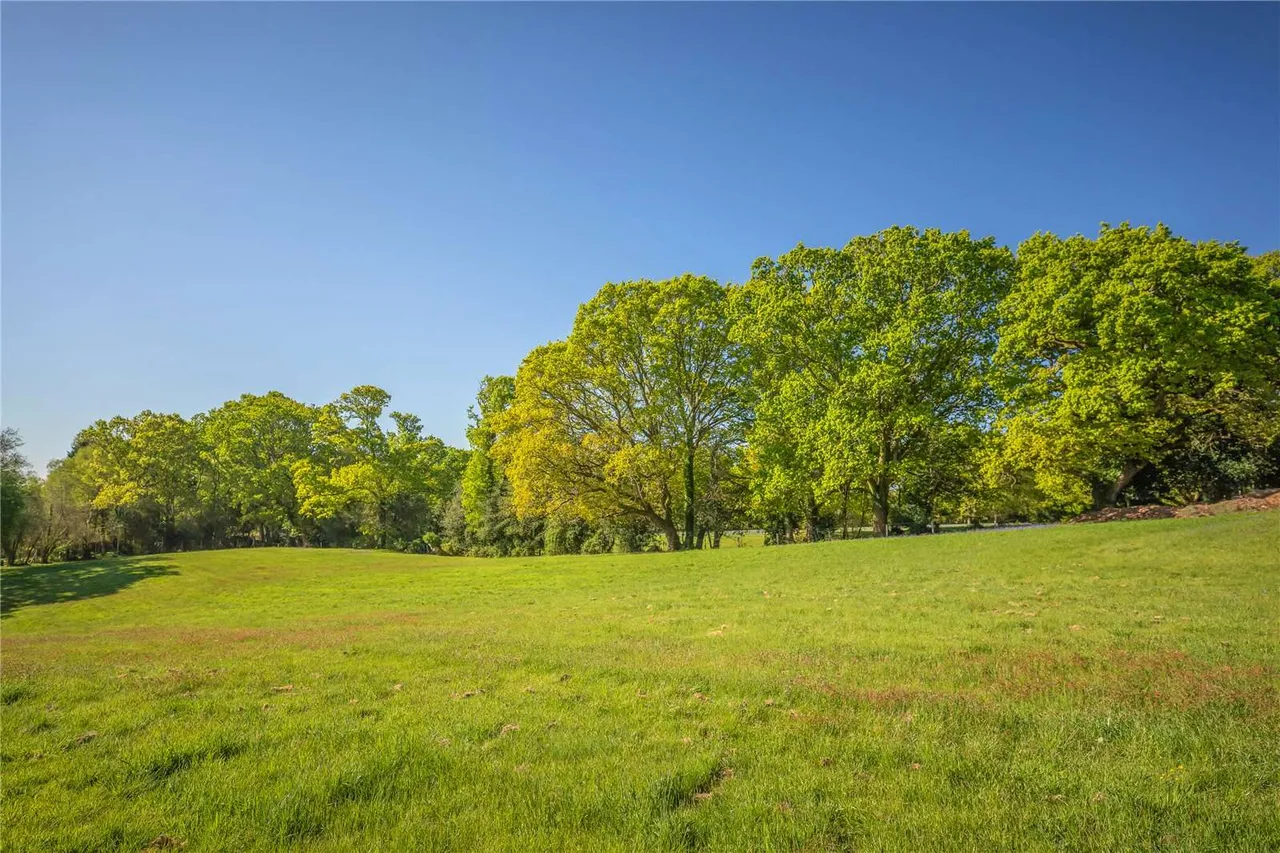 Minstead, Lyndhurst, SO43, photo 25