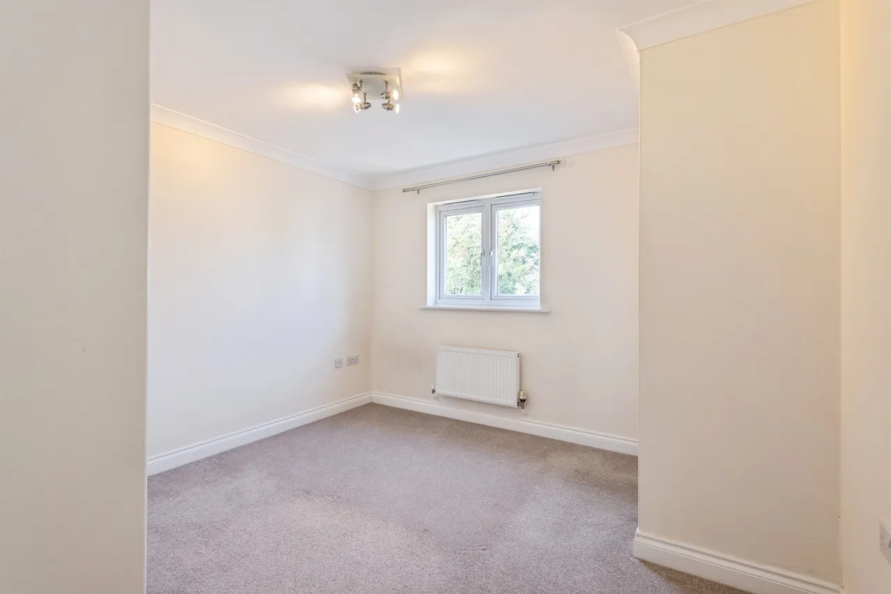 Beechfields, Taunton, TA1, photo 7