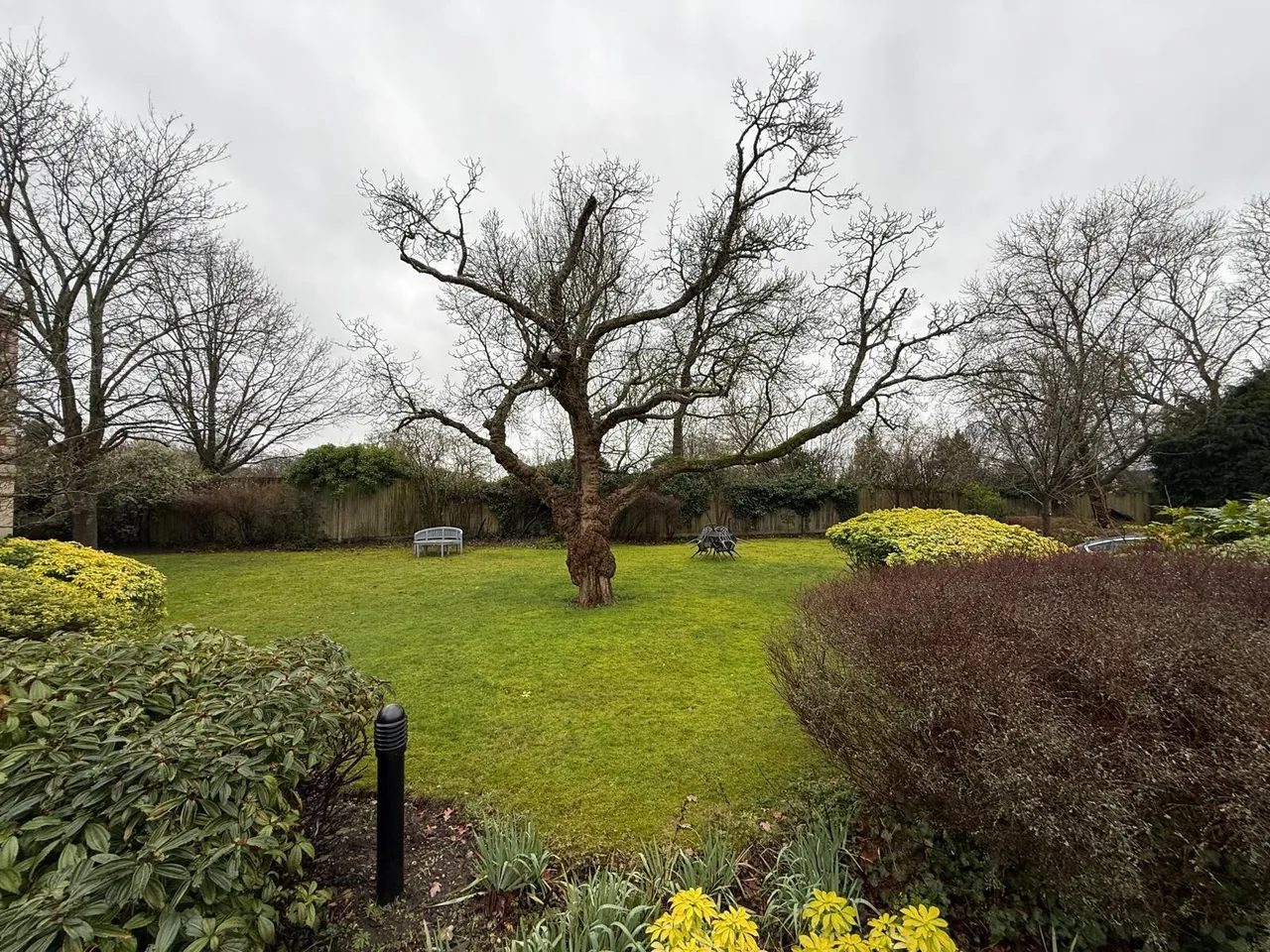 Warwick Road, RG2, photo 3