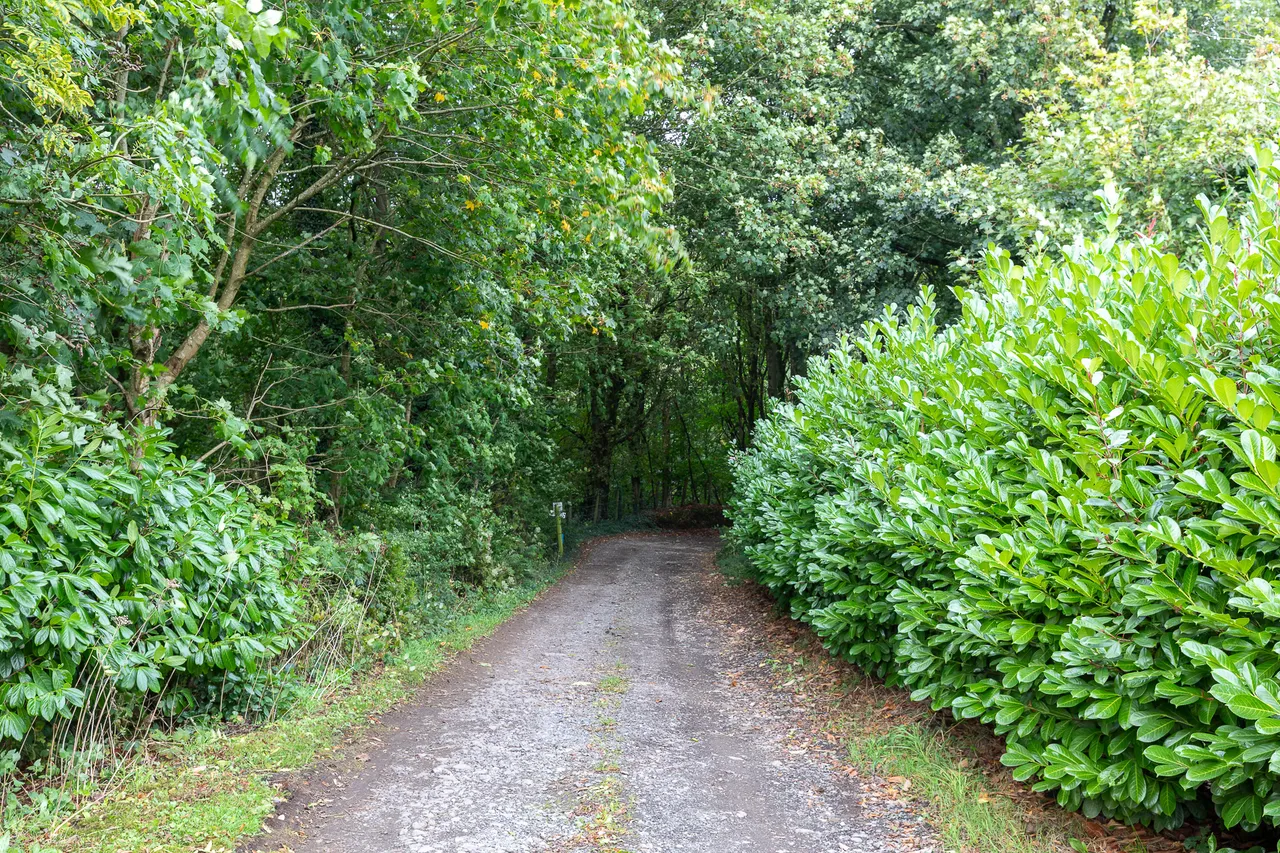 Mill Lane, Aspull, WN2, photo 22
