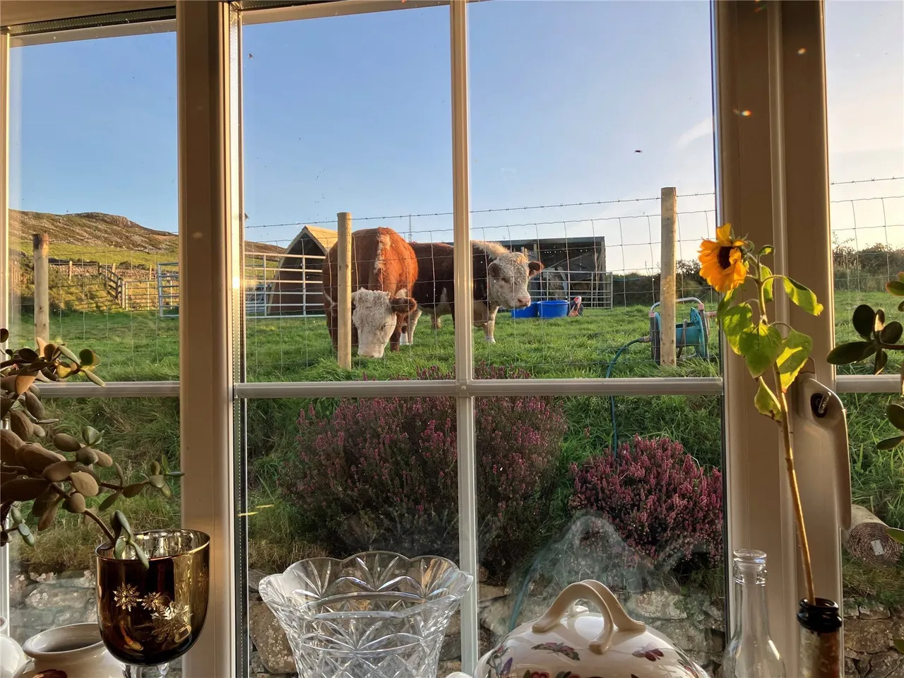Sarn, Llyn Peninsula, LL53, photo 8