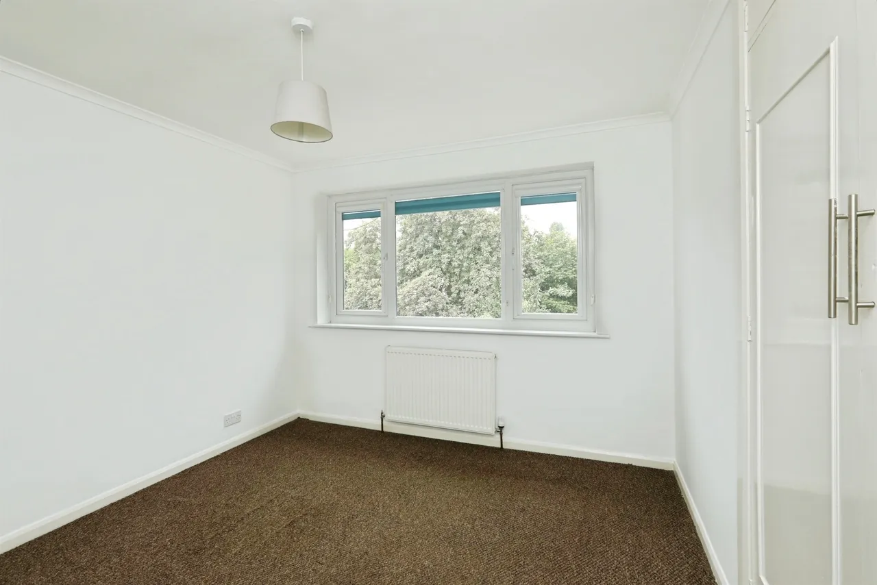 Sandy Lane, Belle Vue, Doncaster, photo 9