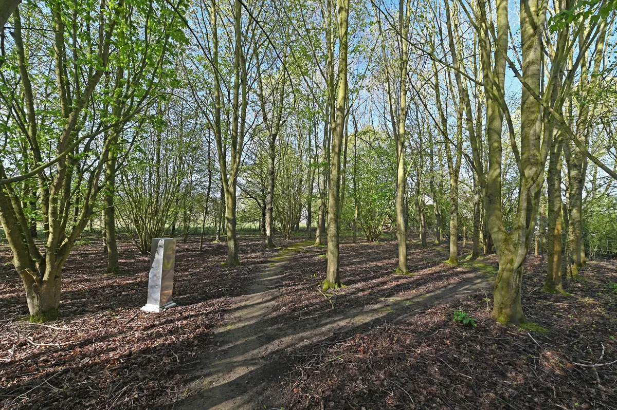 Wickerstreet Green, Ipswich, IP7, photo 19
