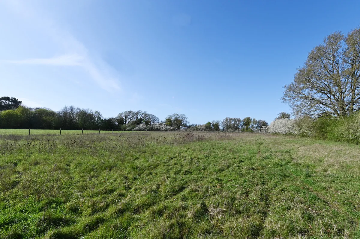 Wickerstreet Green, Ipswich, IP7, photo 24