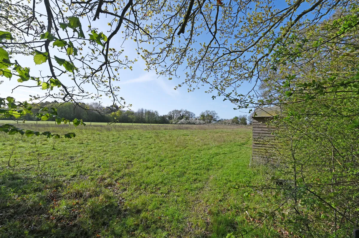 Wickerstreet Green, Ipswich, IP7, photo 22