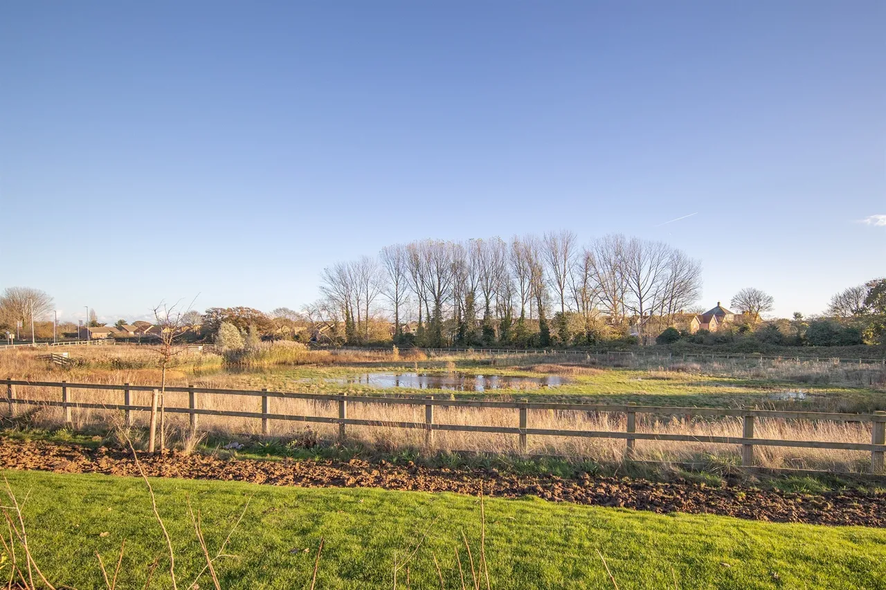 Meadow Gardens, Hartley Brook Road, Clacton-On-Sea, photo 10
