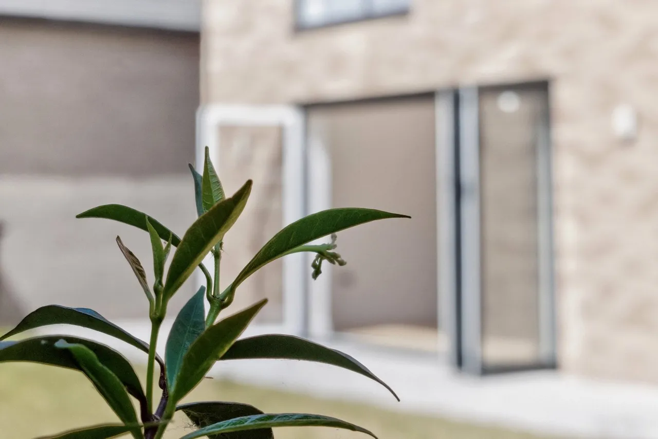 Laureate Fields, Felixstowe, IP11, photo 22