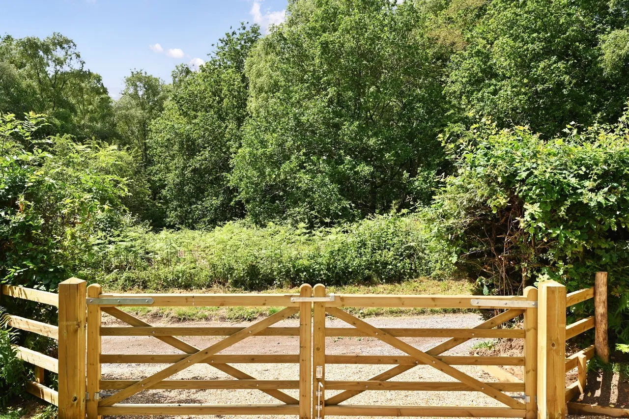 The Street, Fairwarp, TN22, photo 17